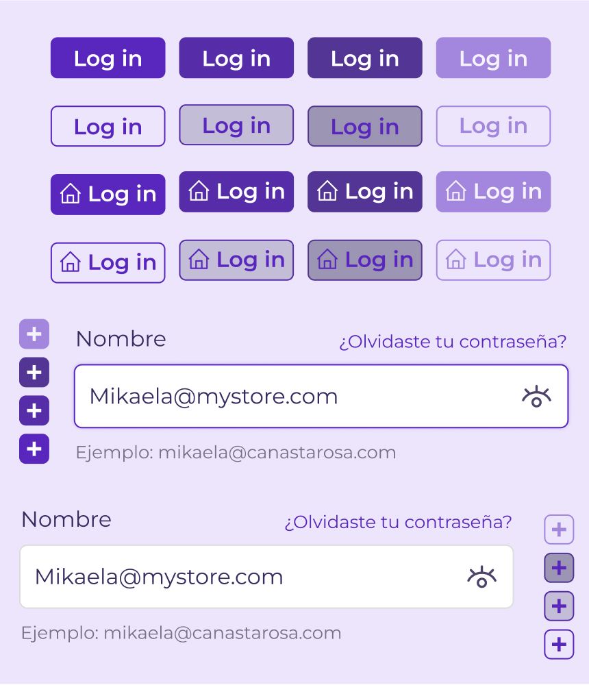 An image depicting: Iris' components..